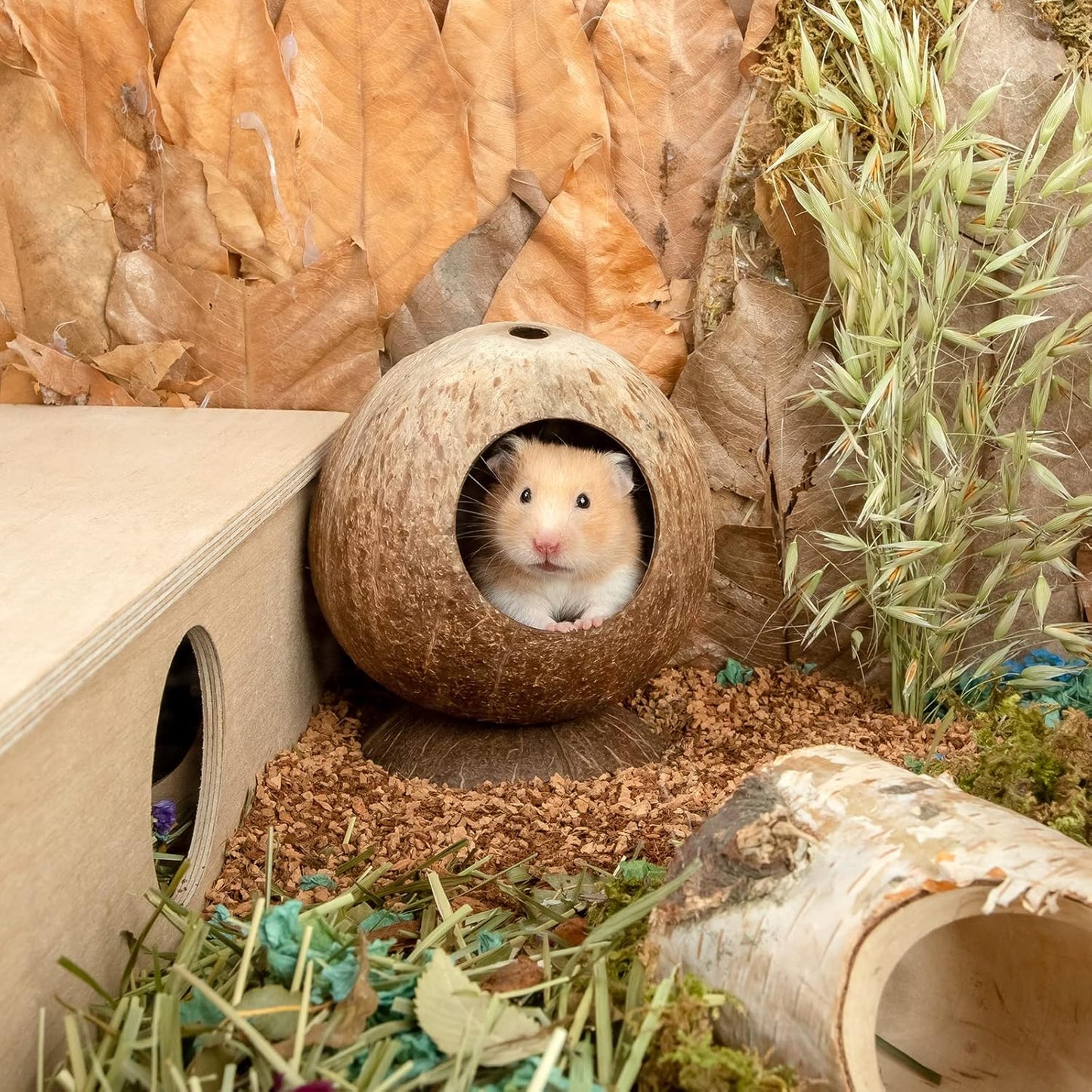 andwe Coconut Hut Hamster House Bed for Gerbils Mice Small Animal Cage