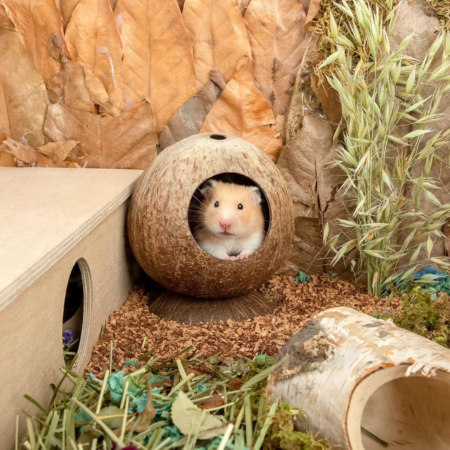 andwe Coconut Hut Hamster House Bed for Gerbils Mice Small Animal Cage