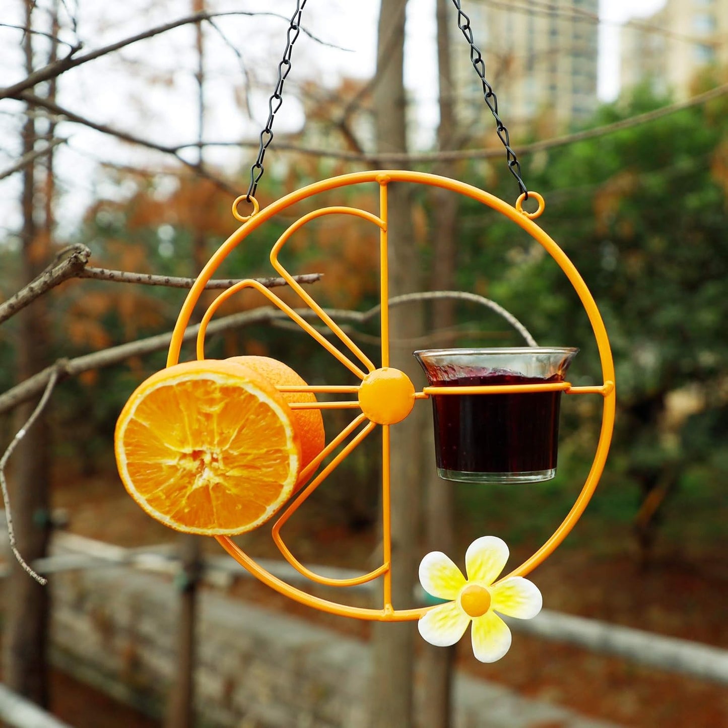 FORUP Oriole Bird Feeder for Outdoors Jelly and Oranges, Orange Fruit 