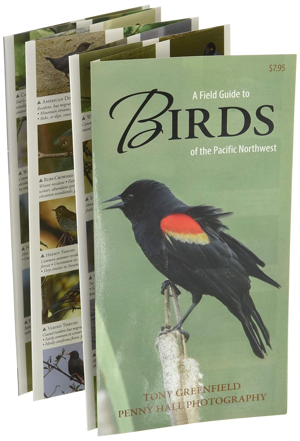 A Field Guide to Birds of the Pacific Northwest