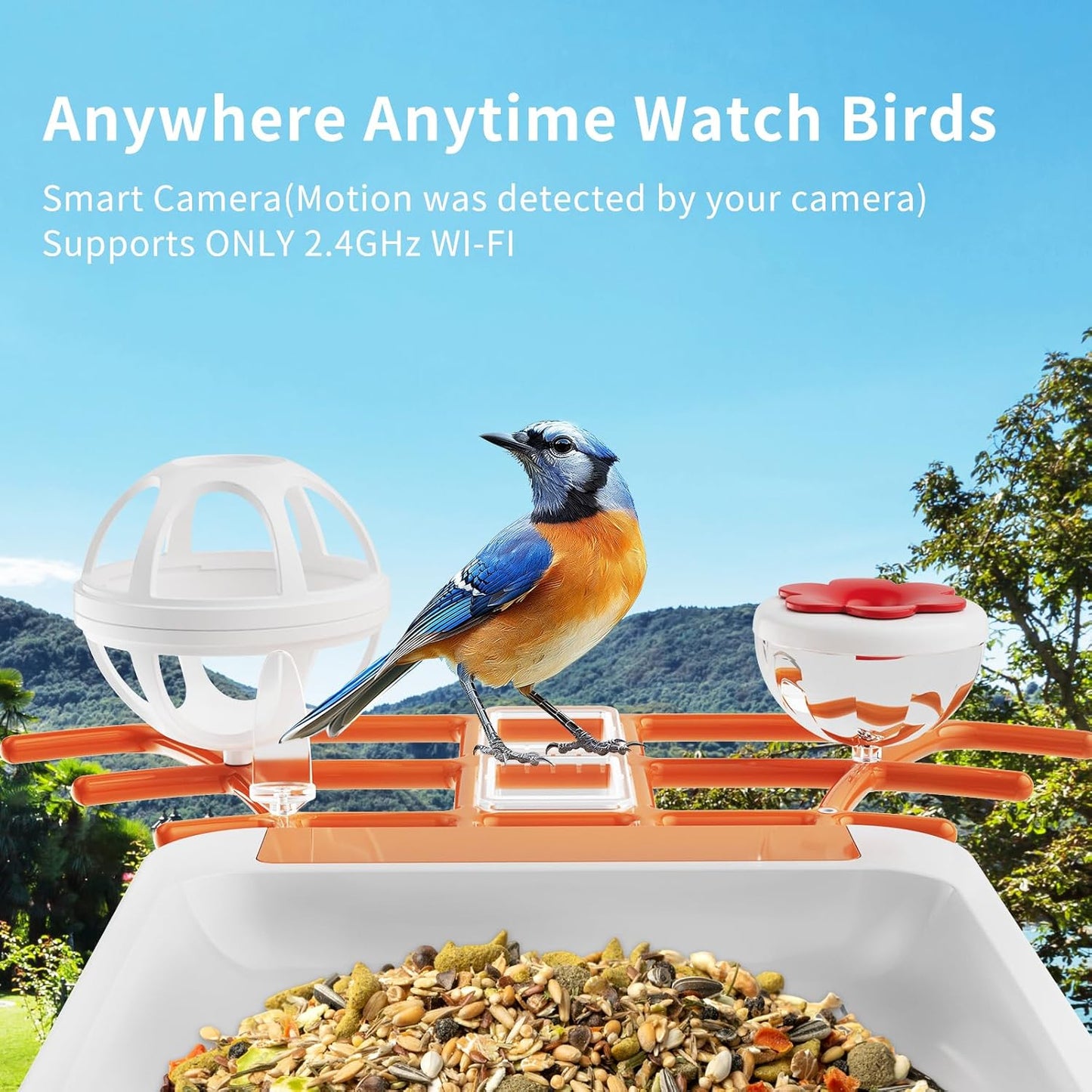 Smart Solar Bird Feeder with Camera,2K HD AI Identifies 11,000+ Birds,Solar Powered Wireless Outdoor Camera with Instant Alerts & Auto Capture - Perfect Backyard Bird Watching Gift