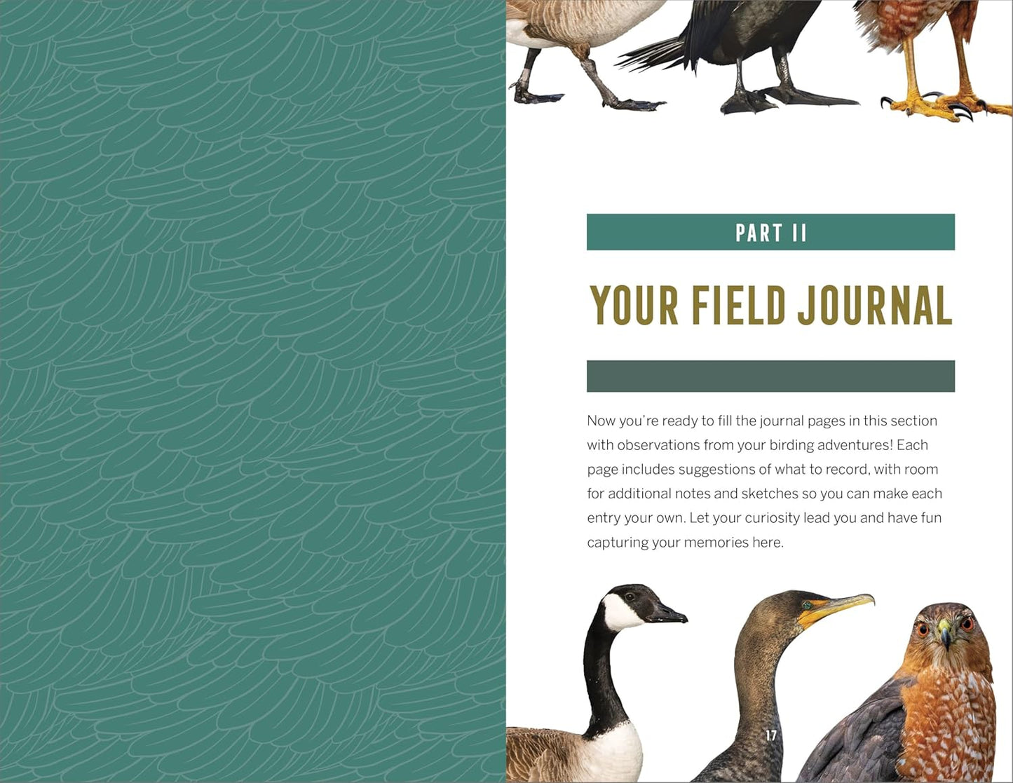 Bird Watching Field Journal: Log, Sketchbook, and Life List (Bird Watching Adventures)