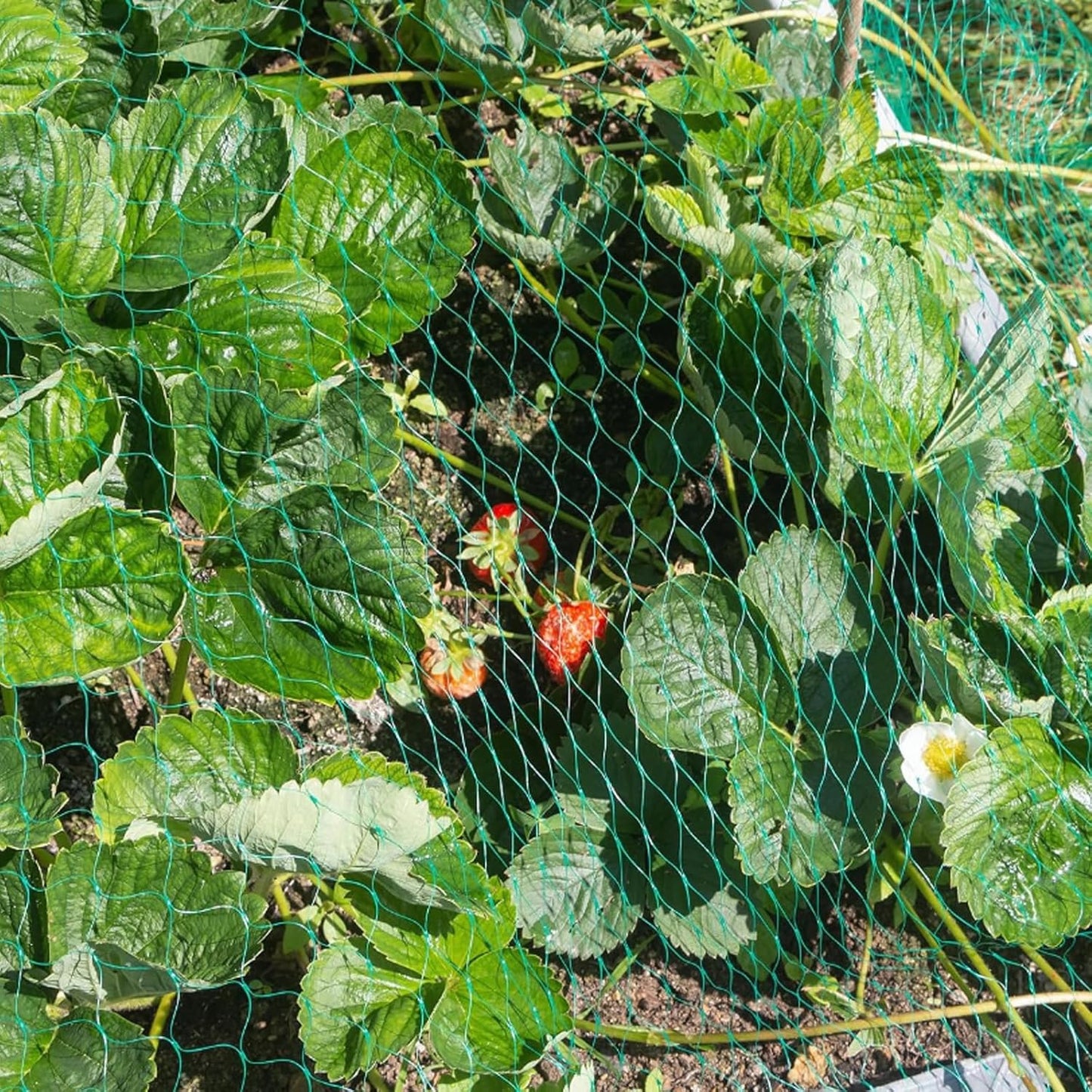 MEANCHEN Bird Netting for Garden 6.5×100FT, 0.3IN Mesh Garden Netting 