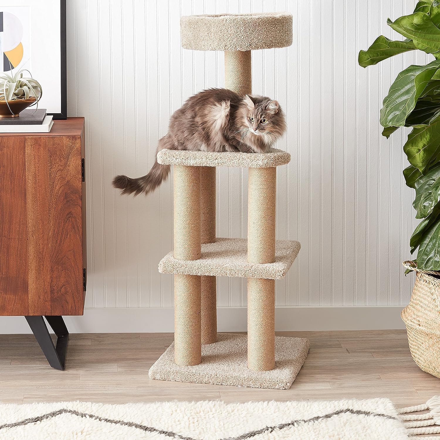 Amazon Basics Cat Tree Tower - Multi-Level Climbing Activity Center fo
