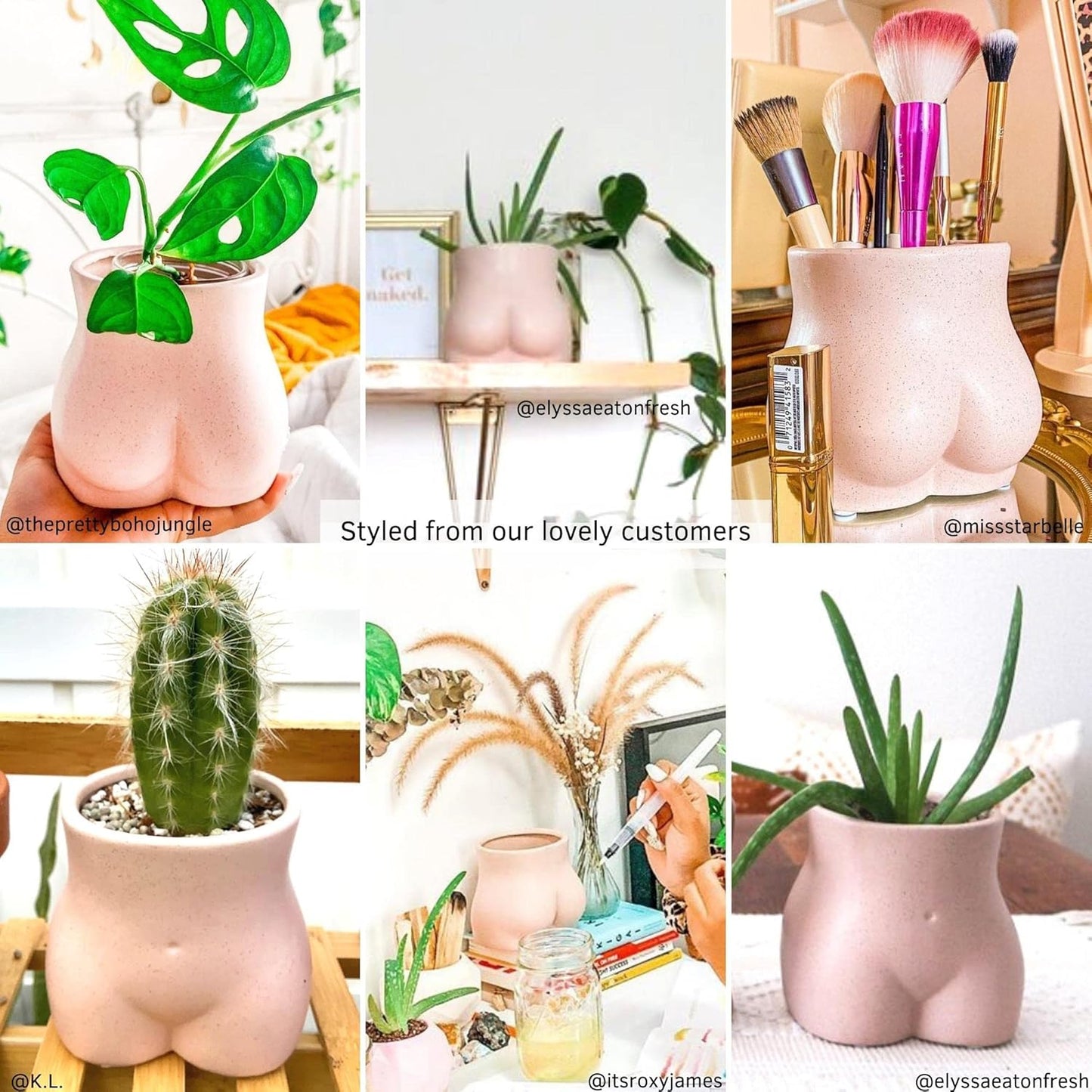 BASE ROOTS Plant Pot Ceramic Planter Vase with Drainage for Succulents, Cactus, Flowers - Ideal for Boho Indoor & Outdoor Garden, Aesthetic Living Room, Bedroom, Desk Organizer Decor & Gift Idea