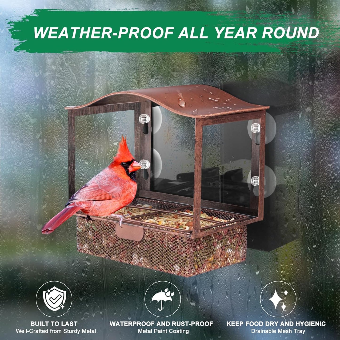 Lilyang Window Bird Feeder, Metal Bird Feeder Window with Wide View, Window Bird Feeders with Strong Suction Cups, Wild Bird Feeders for Bird Watching Presents