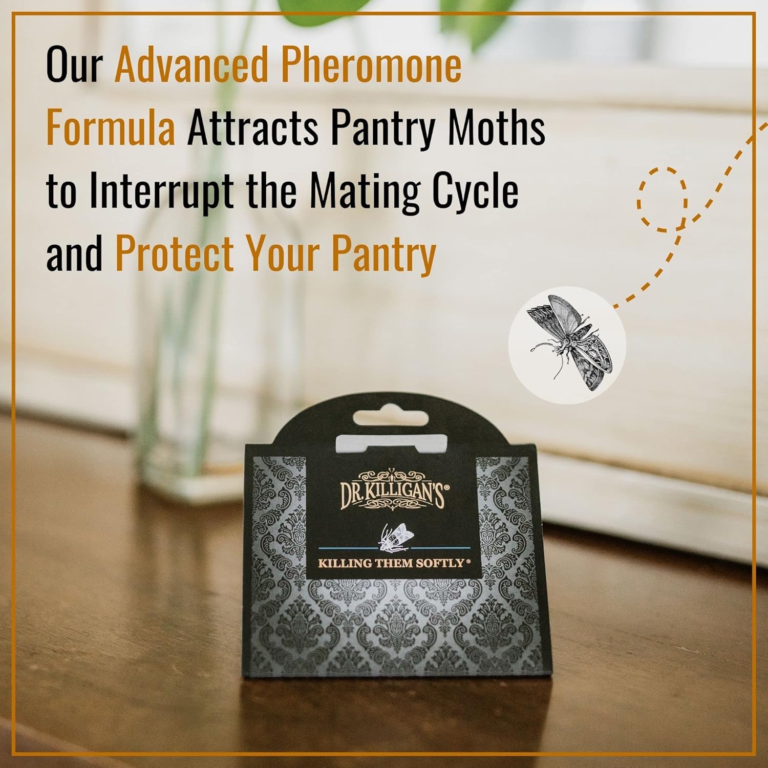 Dr. Killigan's Premium Double Potent Pantry Moth Traps with Pheromones
