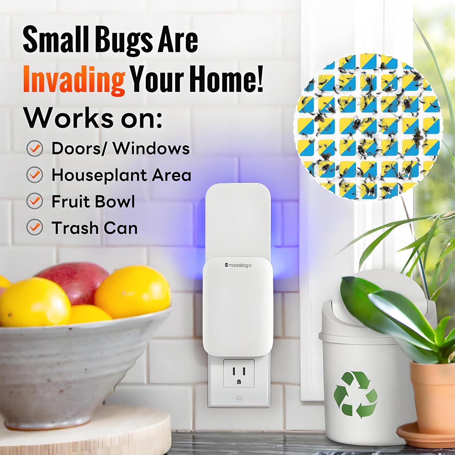 Mosalogic Fruit Fly Traps for Indoors Gnat Trap for House Indoor-600 S