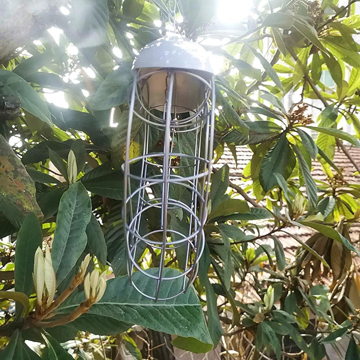 Birds Food Dispenser with Roof for Wild Canaries- Finches Suet Basket 