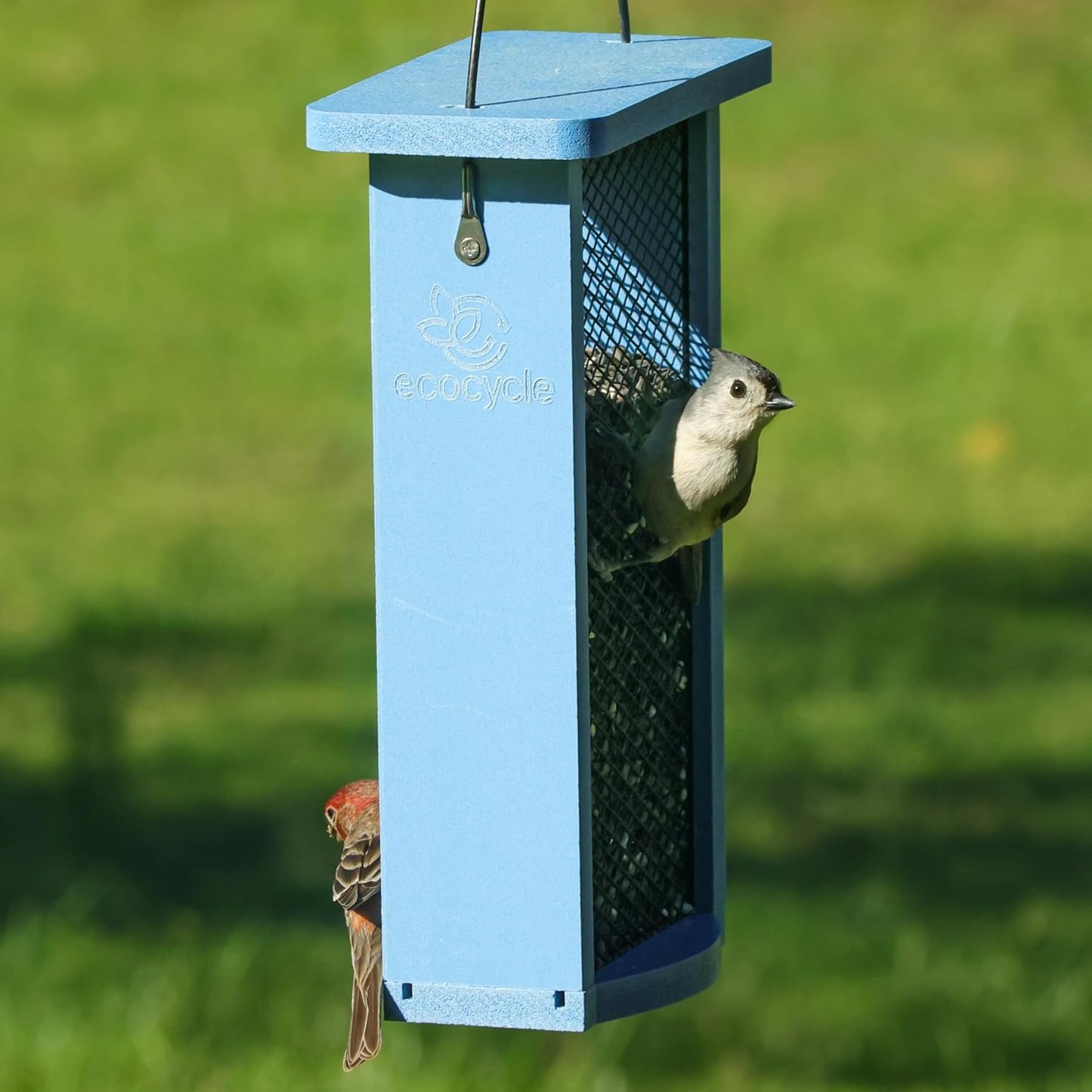 Mesh Morsels Recycled Plastic Mesh Bird Feeder for Wild Birds and Outdoor Décor, Dual-Sided Feeding & Removable Mesh Panels, 1.375 Quart Quart, Blue
