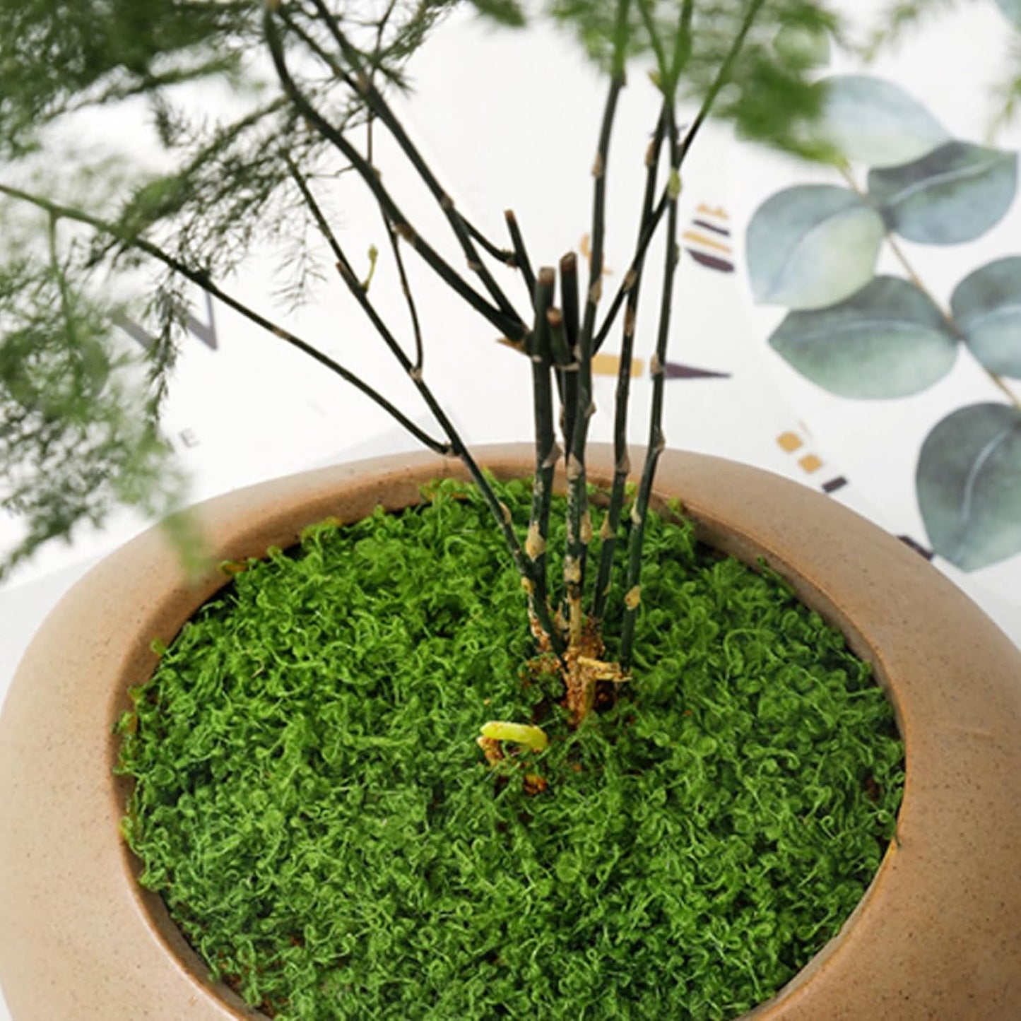 Fake Moss, 50g Plastic Artificial Moss Realistic Looking Faux Moss Nutural Fake Green Lichen Plants for Plant Pot Garden Patio Decoration, Light Green, Artificial Plants