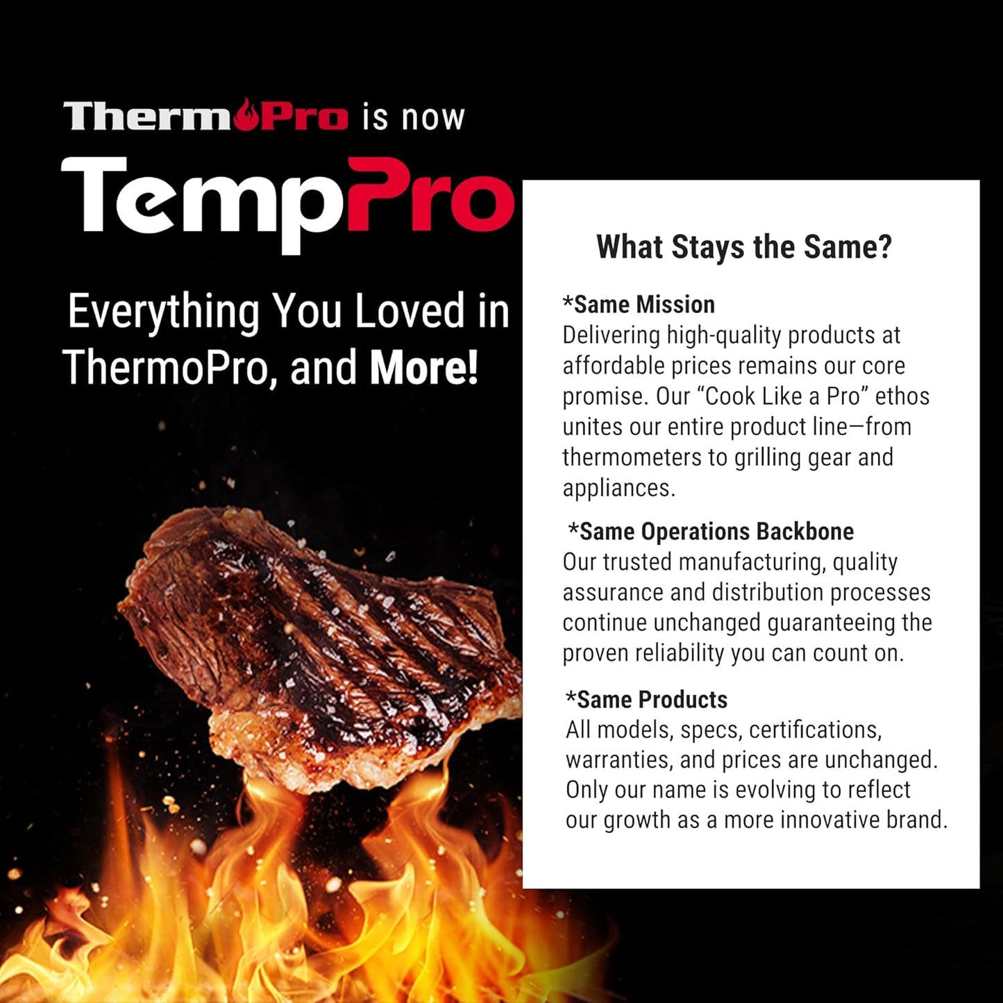 TempPro TP17 Dual Probe Digital Cooking Meat Thermometer Large LCD Backlight Food Grill Thermometer with Timer Mode for Smoker Kitchen Oven BBQ, Silver (Previously ThermoPro)