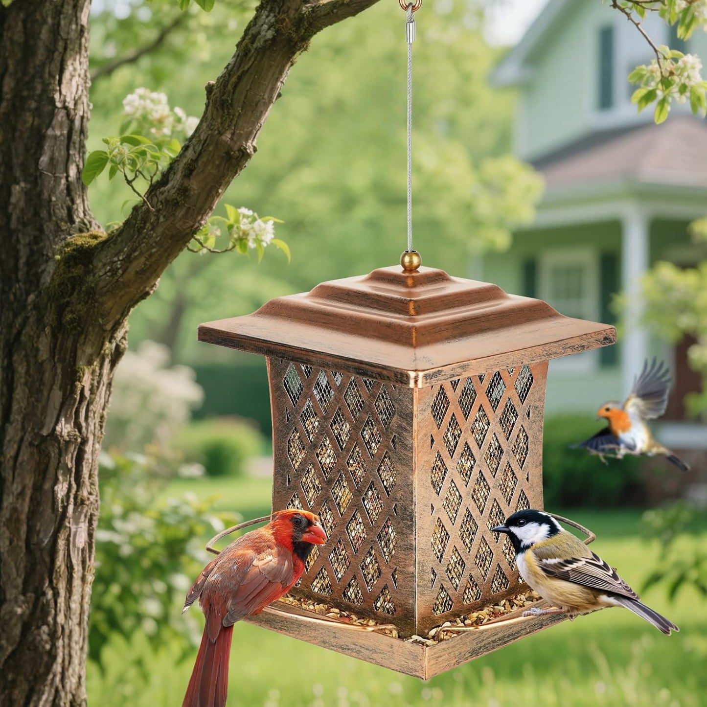 Outdoor Bird Feeder, Heavy Duty Retro Lamp Style Bird Feeders for Outside Hanging, Double Metal Mesh Birdfeeder with Lid Fixing Buckle, 3Lbs Capacity - Bronze