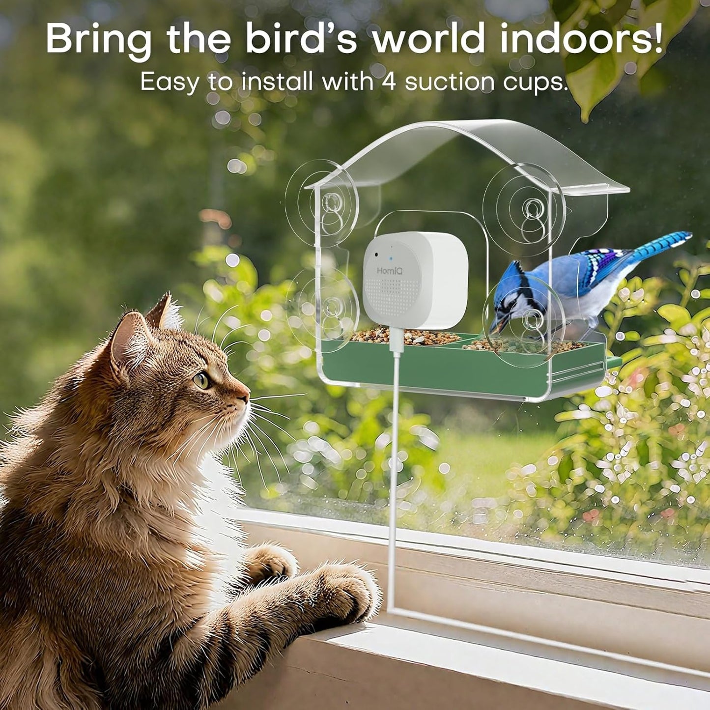 Smart Bird Feeder 2K HD 3MP Window Glass Camera Close-up, 2.4G &5Ghz W
