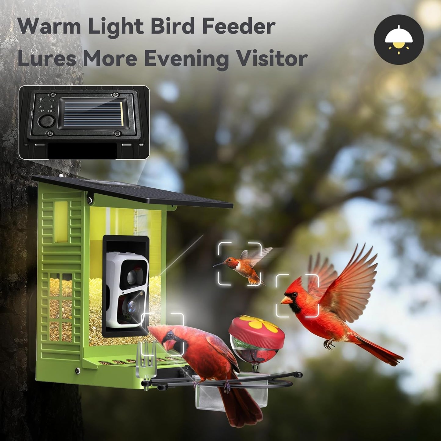 Rayki Metal Solar Powered Smart Bird Feeder with Camera, AI Identify with Solar Lights, 2K HD Cam & WiFi, Instant Arrival Alerts,Ideal Gift for Bird Lovers