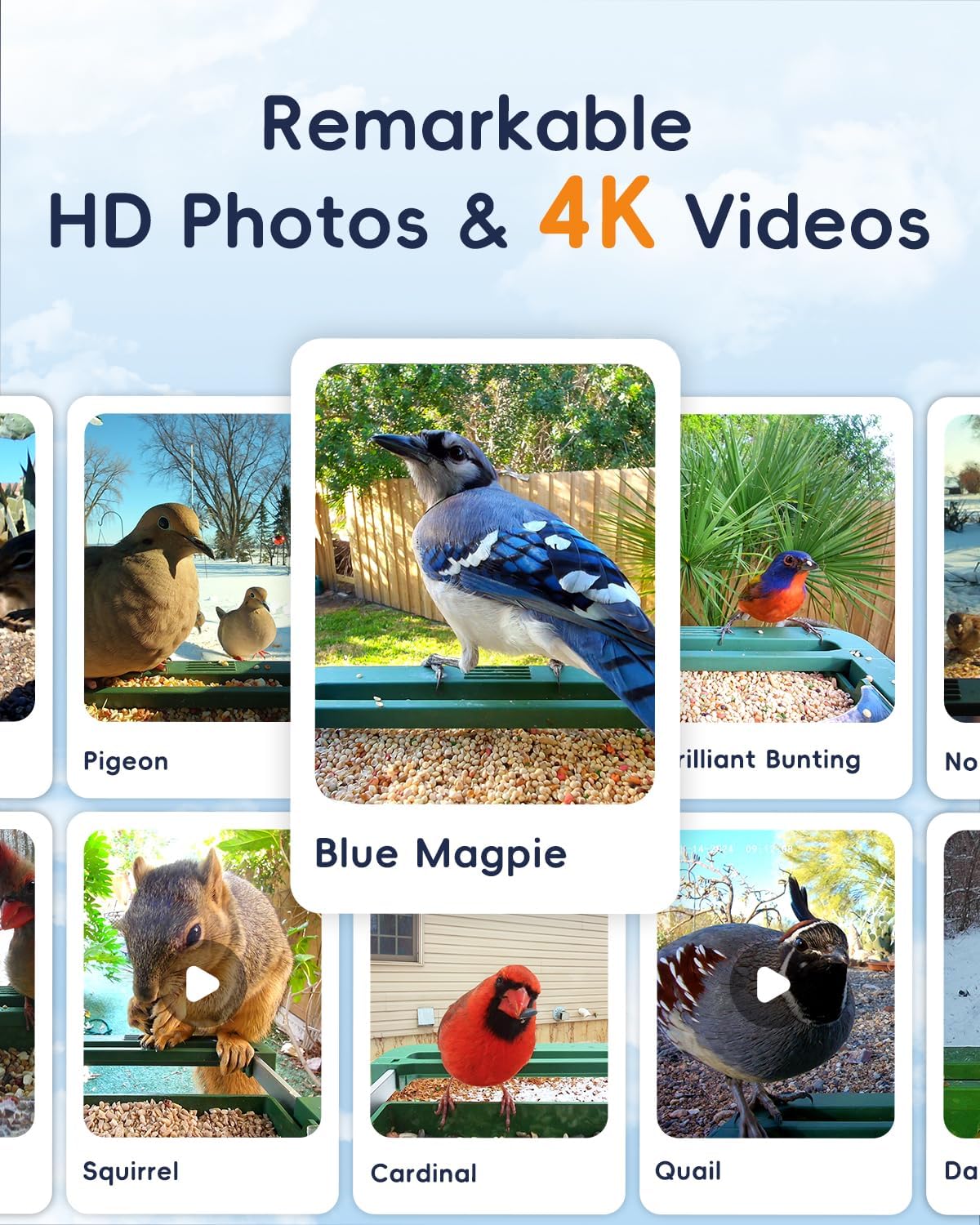 Bird Feeder with Camera, 32MP Photos & 4K Video with Live View, 5GHz/2.4GHz WiFi, AI Identify Birds Species and Instant Arrival Alerts for Bird Lovers