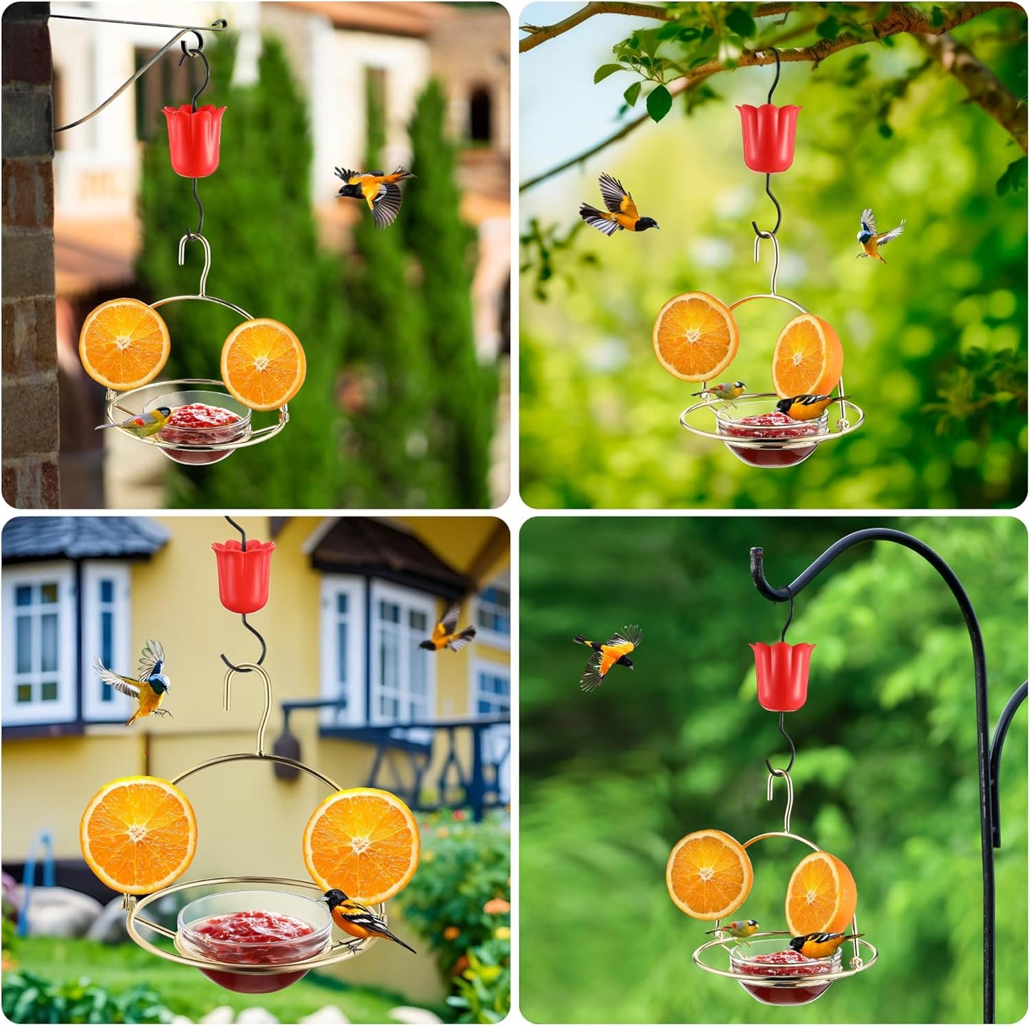 2 Pack Metal Oriole Feeders for Outdoors Hanging with Ant Moat and Fruit Holder, Oriole Feeder with Glass Bowl, Easy to Disassemble and Wash, Bird Feeder for Garden, Outdoor, Gift (Gold)