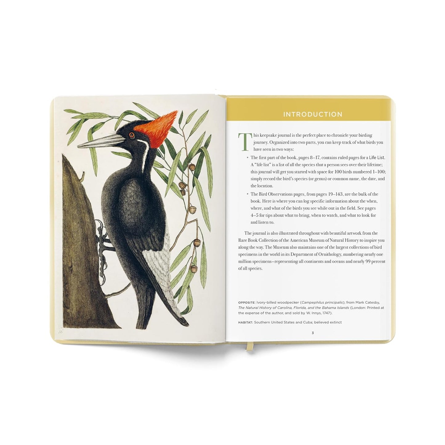 The Birdwatcher's Field Journal: A Life List and Birding Diary (Natural Histories Gift)