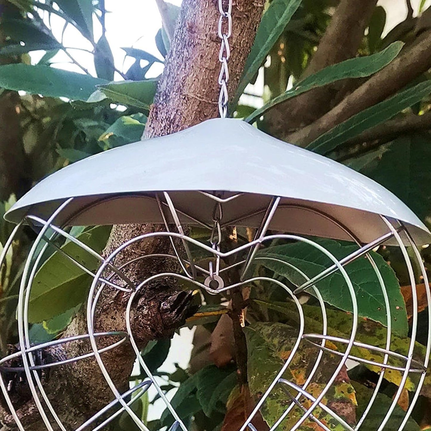 Hanging Feeder for Wild Birds Feeder Basket for Lovebirds Finches Canaries- Wild Bird Feeding Food Dispenser Storage