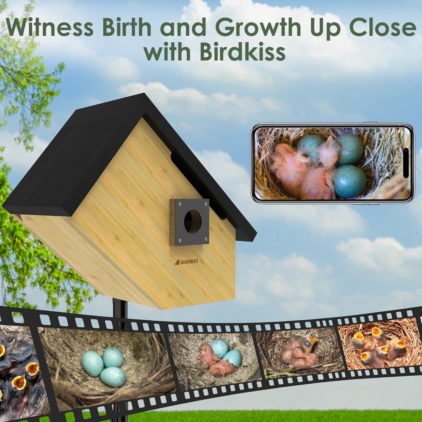 Birdkiss Smart Bird Houses for Outside Solar Powered, 1080P HD Live Vi