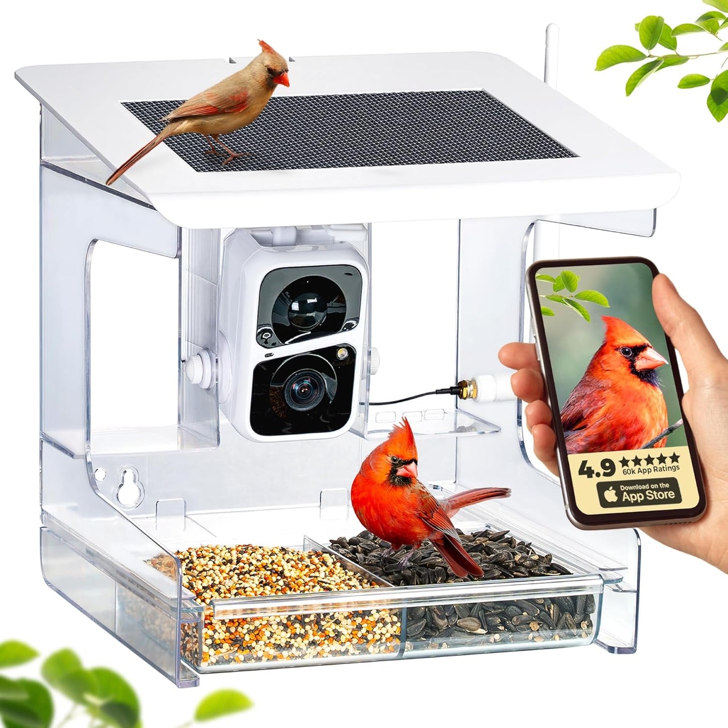 Smart Bird Feeder with Camera – XL Sliding Feed Tray for Effortless Refill – AI Birds ID – 3MEGAPIXEL Images – Video Feeder – Solar-Roof for Bird Lovers