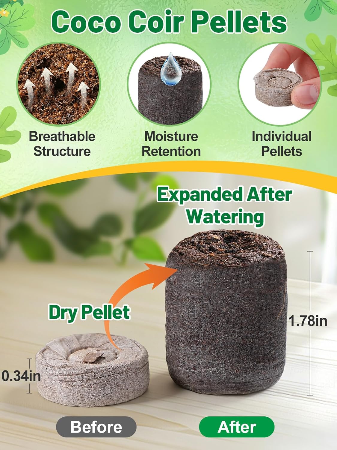 Apipi 5 Pack Seed Starter Kit with 60 Coco Coir Pellets - 60 Cell Seed