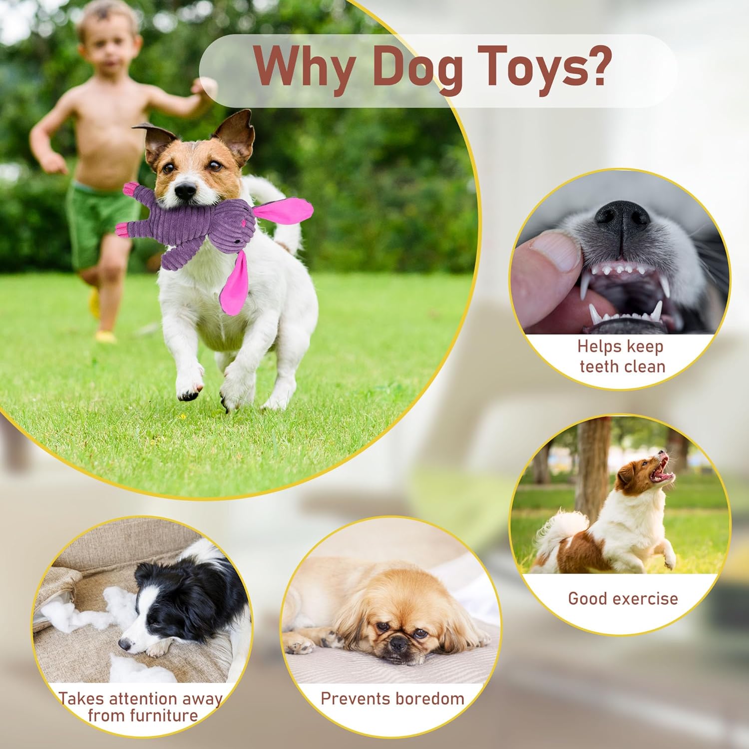 Prime Pets Dog Toys, 5 Pack, Plush Dog Squeaky Toys, Assortment Value 