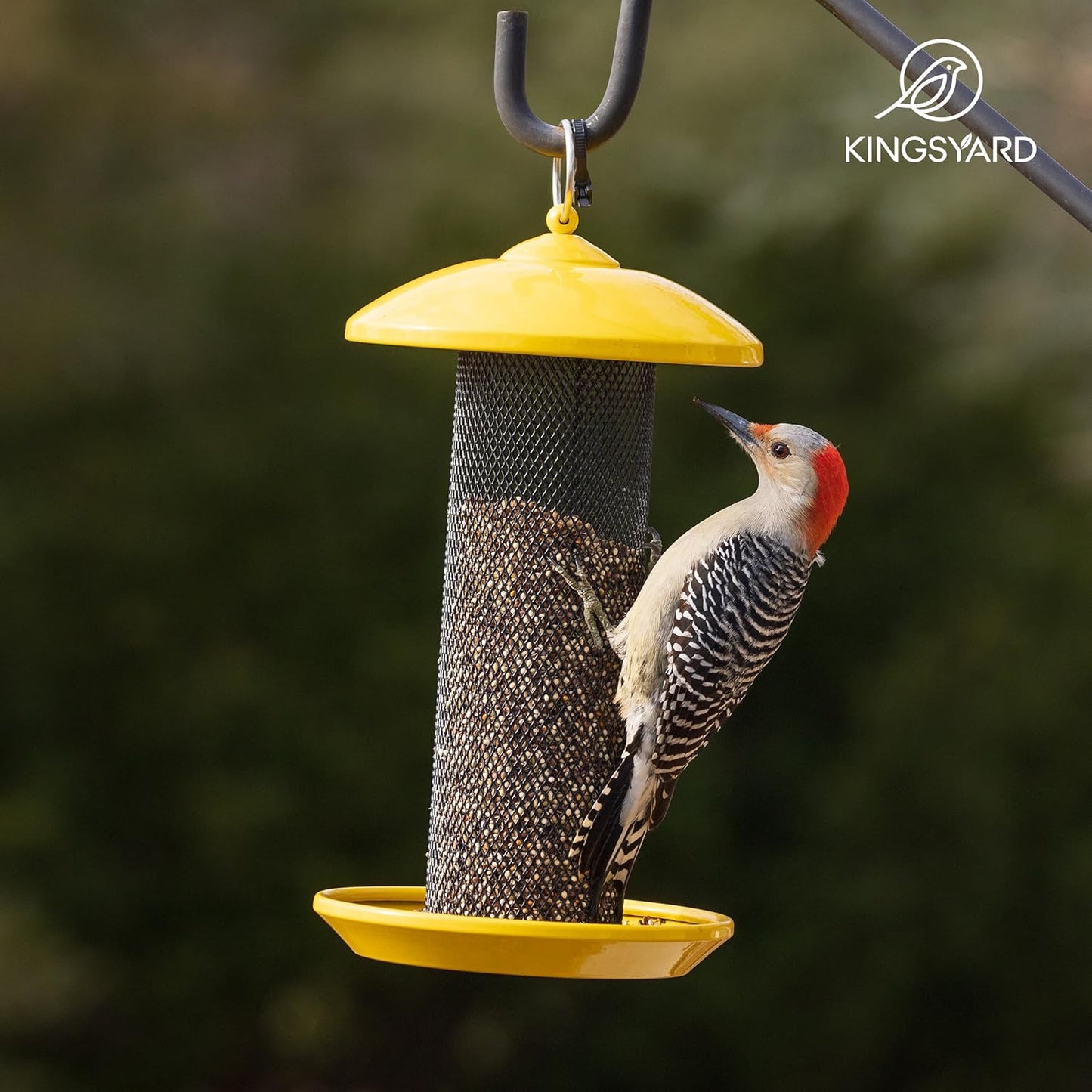 Kingsyard Finch Feeders for Outdoors Hanging, Metal Mesh Tube Bird Fee