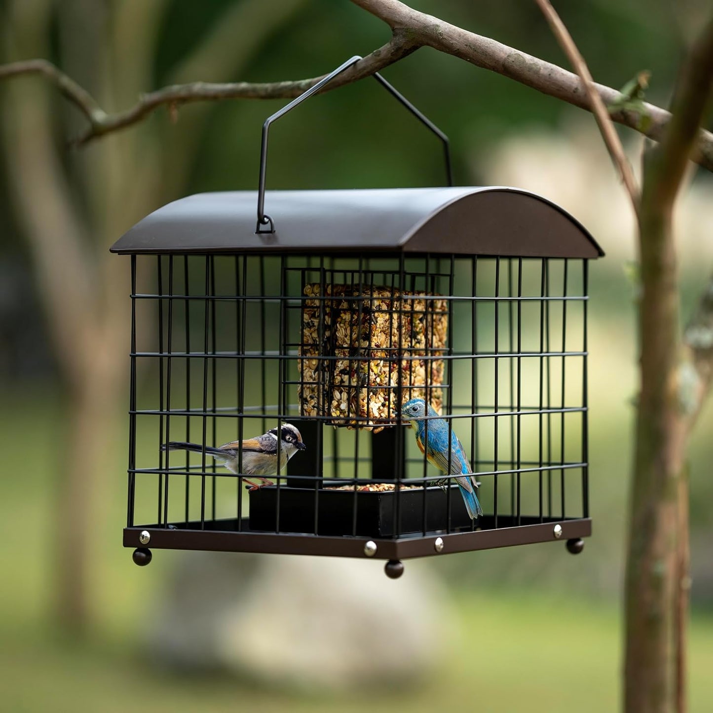 Caged Suet Feeders Squirrel-Proof, Dual-Purpose Suet &Seed Wild Bird Feeders with Tray, Huge Metal Caged Bird Feeders Outdoors Hanging, 2 Suet Cakes+1lb Seed Capacity, Copper