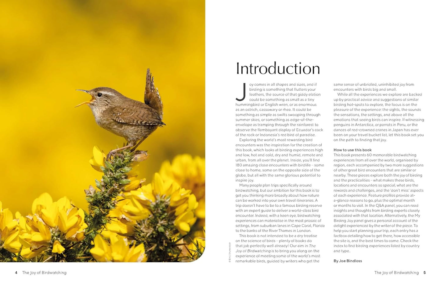 Lonely Planet The Joy of Birdwatching