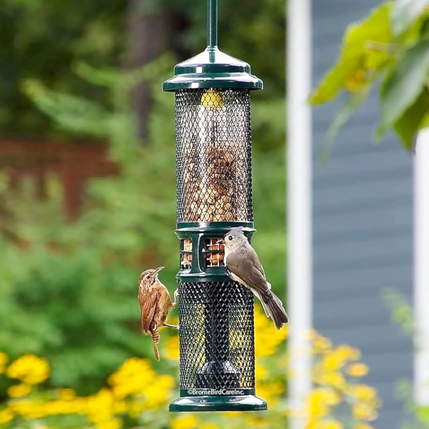 Squirrel Buster Nut Feeder Squirrel-Proof Bird Feeder for Nuts and Fru
