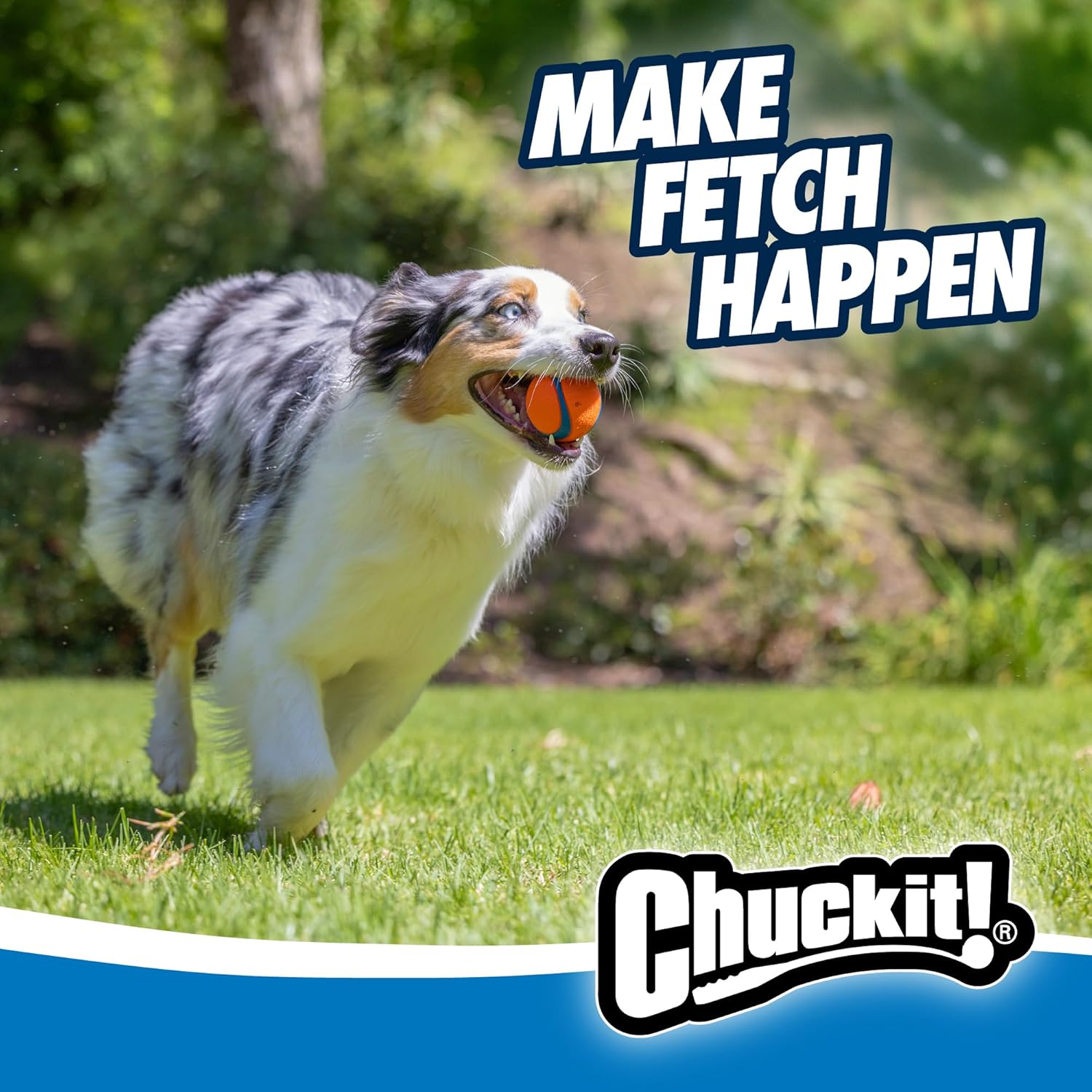 Chuckit! Ultra Ball Dog Toy - Medium Bouncy Fetch Balls For Dogs 20-60