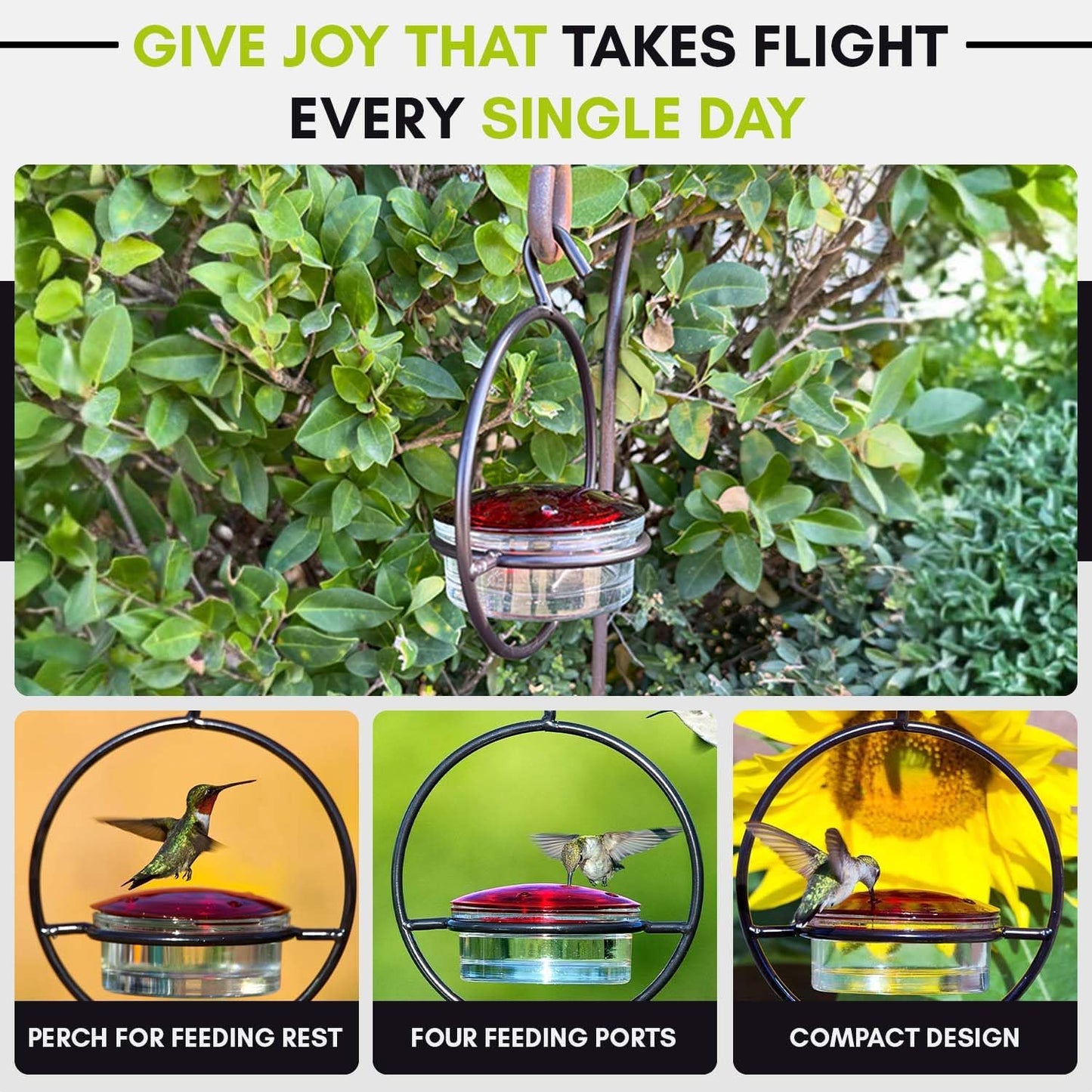 Hummble Slim Glass Hummingbird Feeder 3.4 oz Capacity, Clear Recycled Glass Hanging Feeder| for Garden, Pack of 3