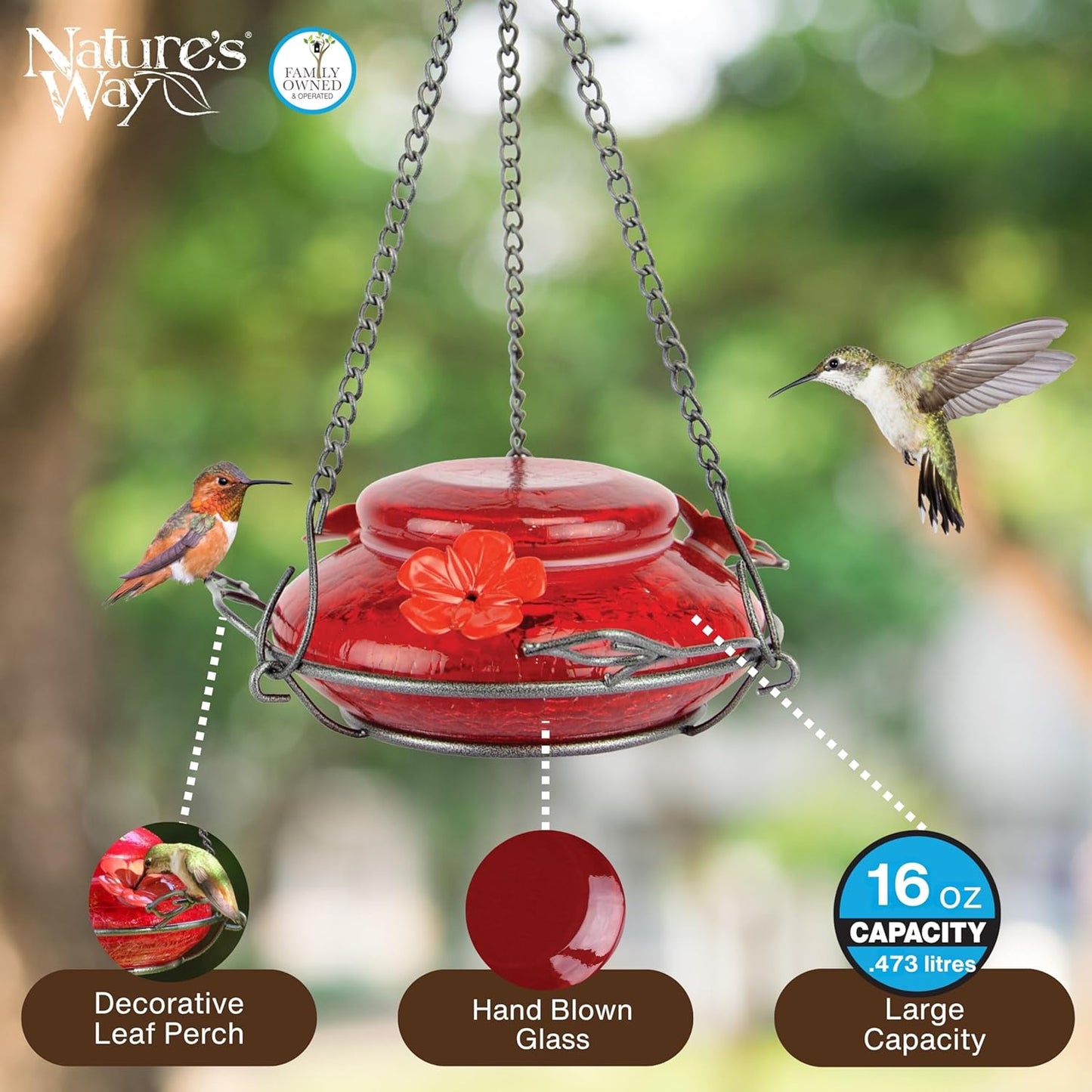 Nature's Way Bird Products MHF4 Hand Blown Garden Top Fill Hummingbird Feeder, 16 oz Capacity, Red