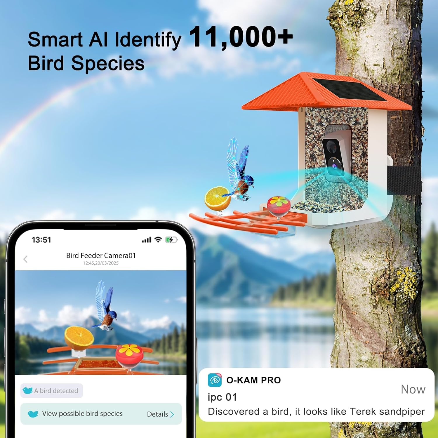 2.5K Smart Bird Feeder with Camera with AI Identify 10000+ Birds Speci