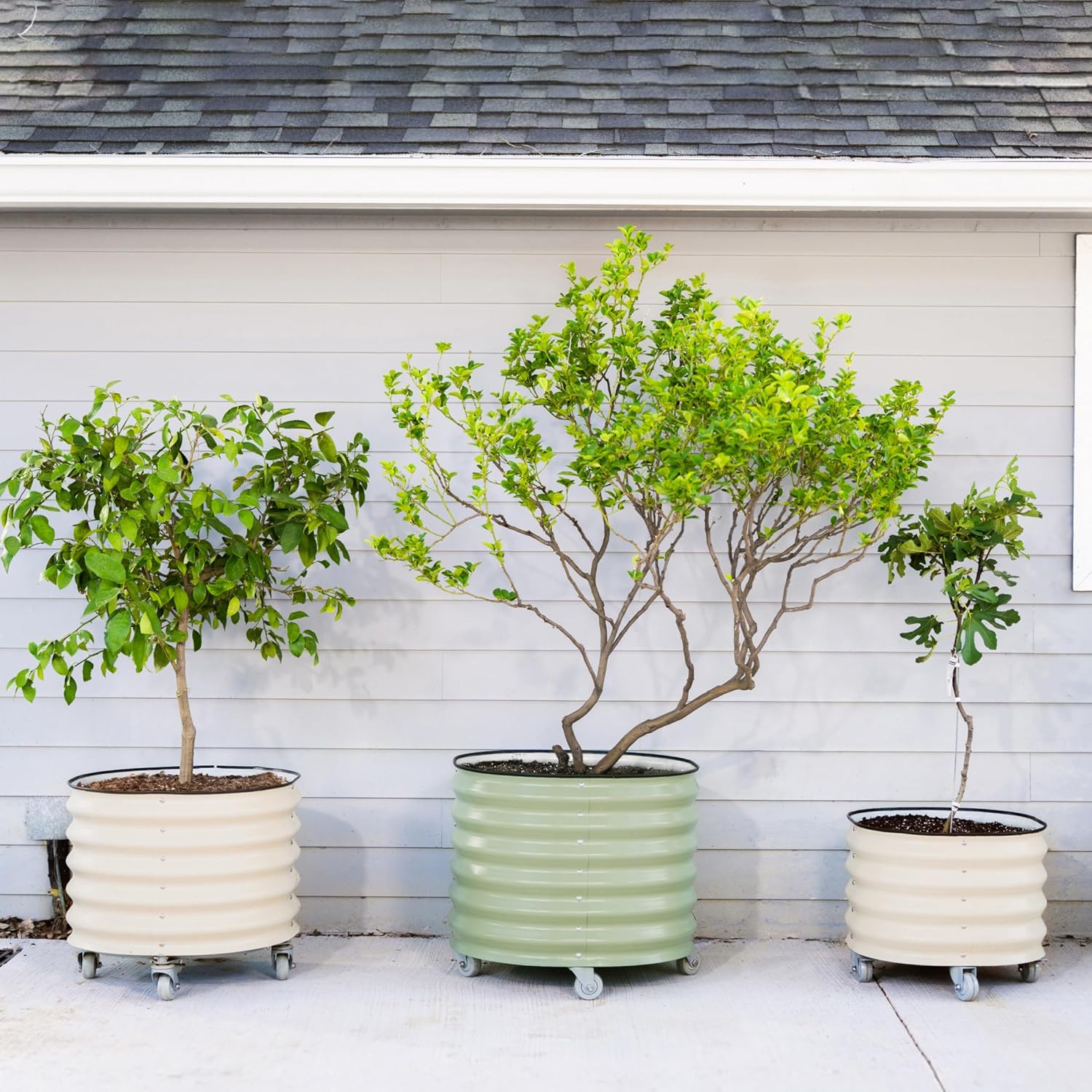 Rolling Metal Citrus Tree Planter Pot, 24″ Round Planter Box for Porch