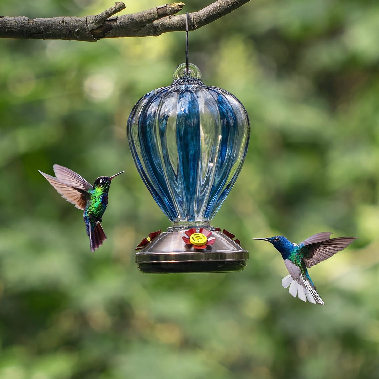 Unique 30oz Glass Hanging Hummingbird Bird Feeder for Wild Birds - Gar