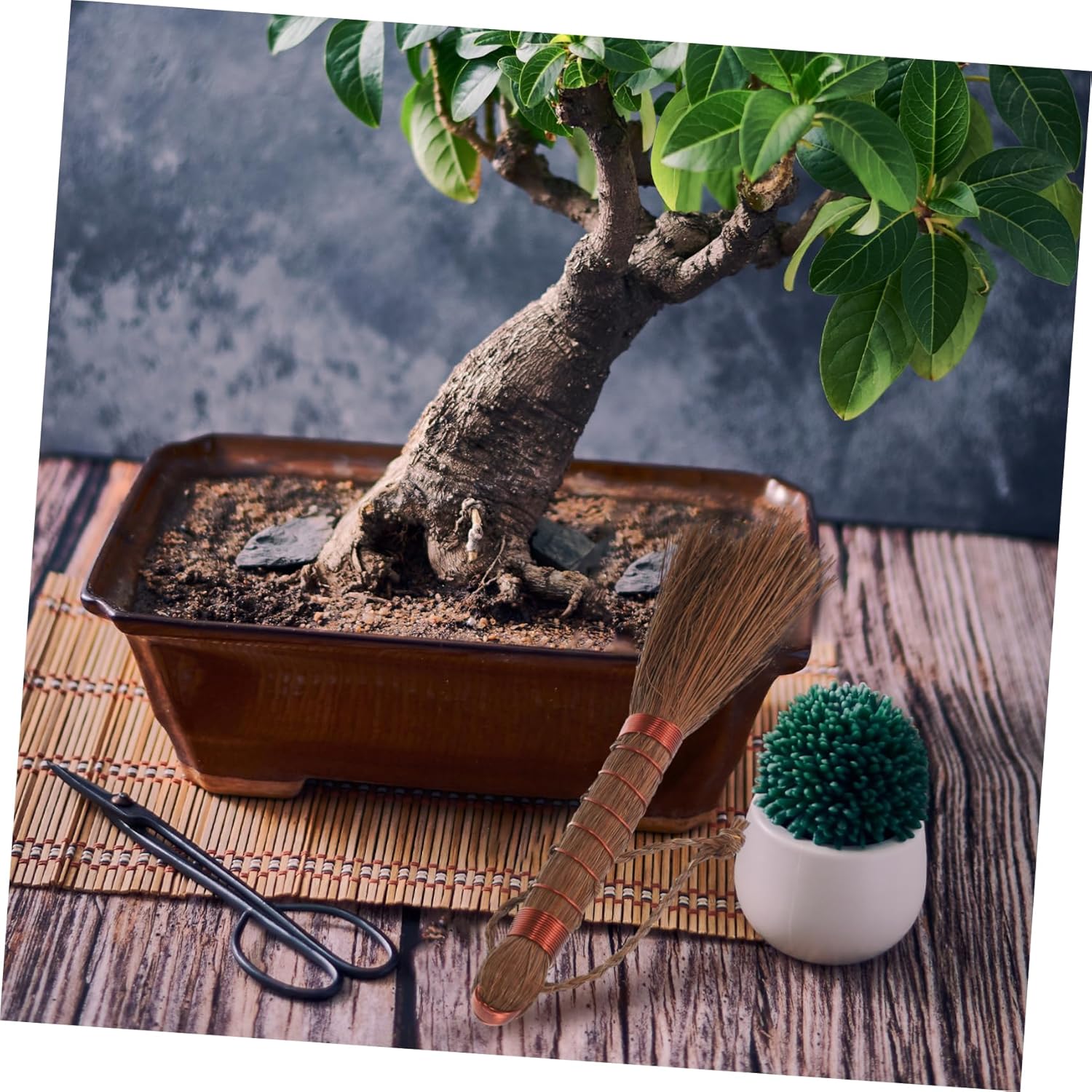 Milisten Gardening Brush Bonsai Cleaning Broom Palm Scrub Brush Multi-