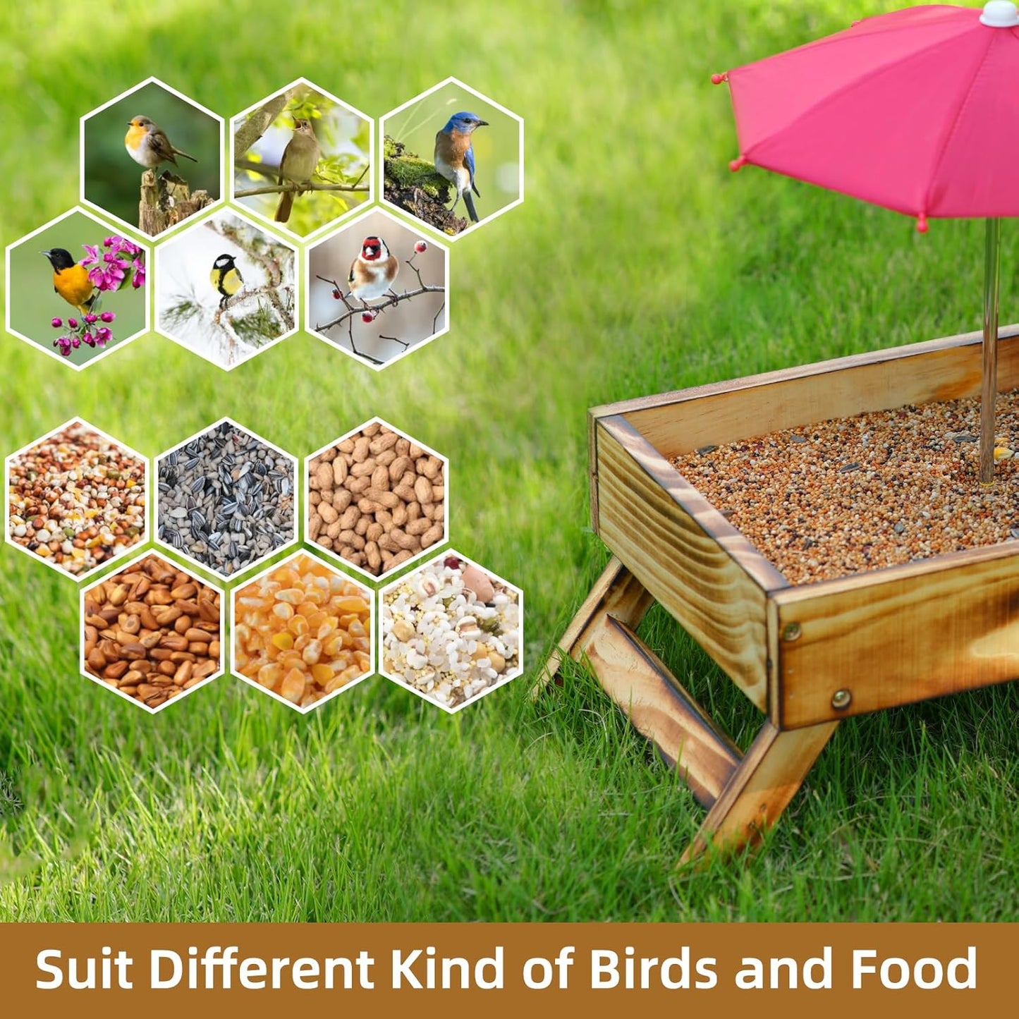 Ground Bird Feeder for Outdoors Bird&Squirrel Feeder Wooden Chicken Pi