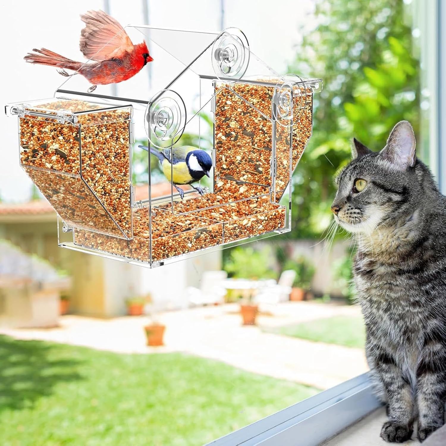 Bird Feeder Window - Clear Suction Cup Finch Feeding Box,Squirrel Proo