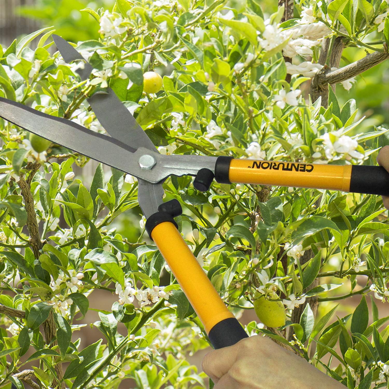 Centurion 1222 3-Piece Lopper, Hedge Shear & Pruner Combo Set, Heavy D