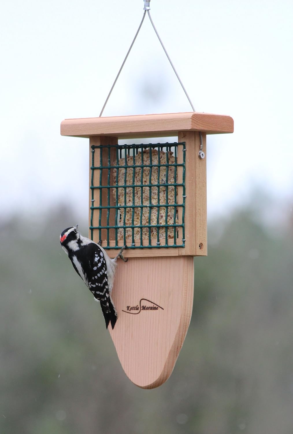 Kettle Moraine Cedar Single Cake Tail Prop Suet Bird Feeder with Hanging Cable