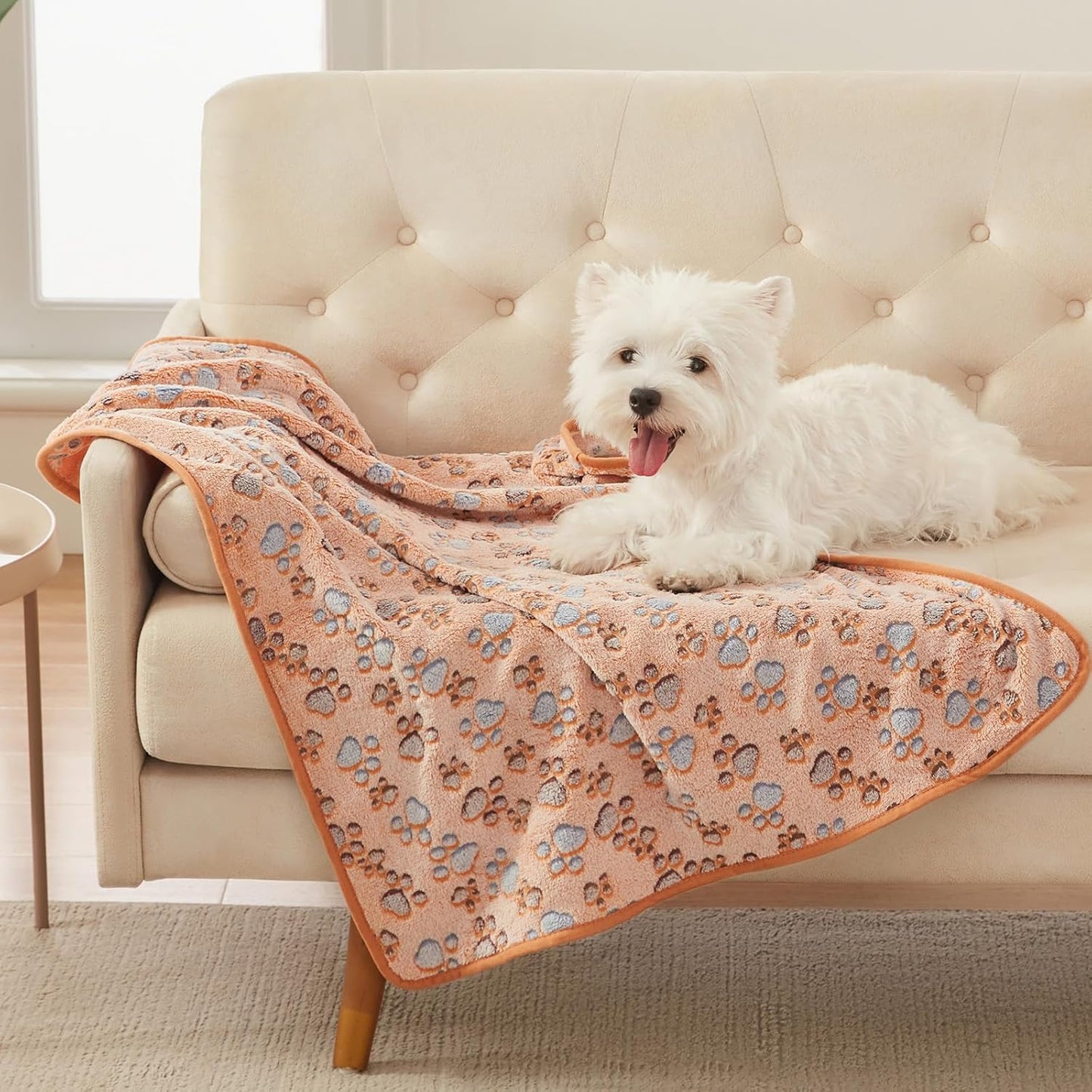 Luciphia 1 Pack 3 Blankets Super Soft Fluffy Premium Fleece Pet Blanke