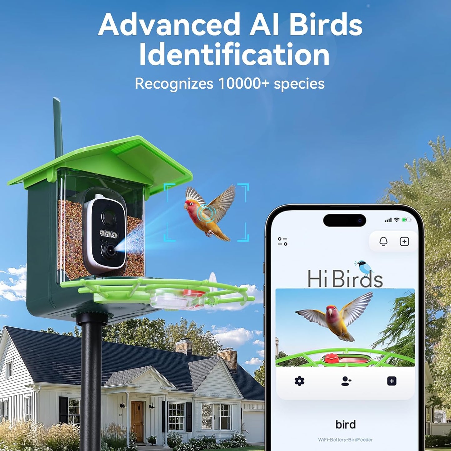 Bird Feeder with Camera and 75 Inch Pole&32GB SD Card, AI Birds Specie