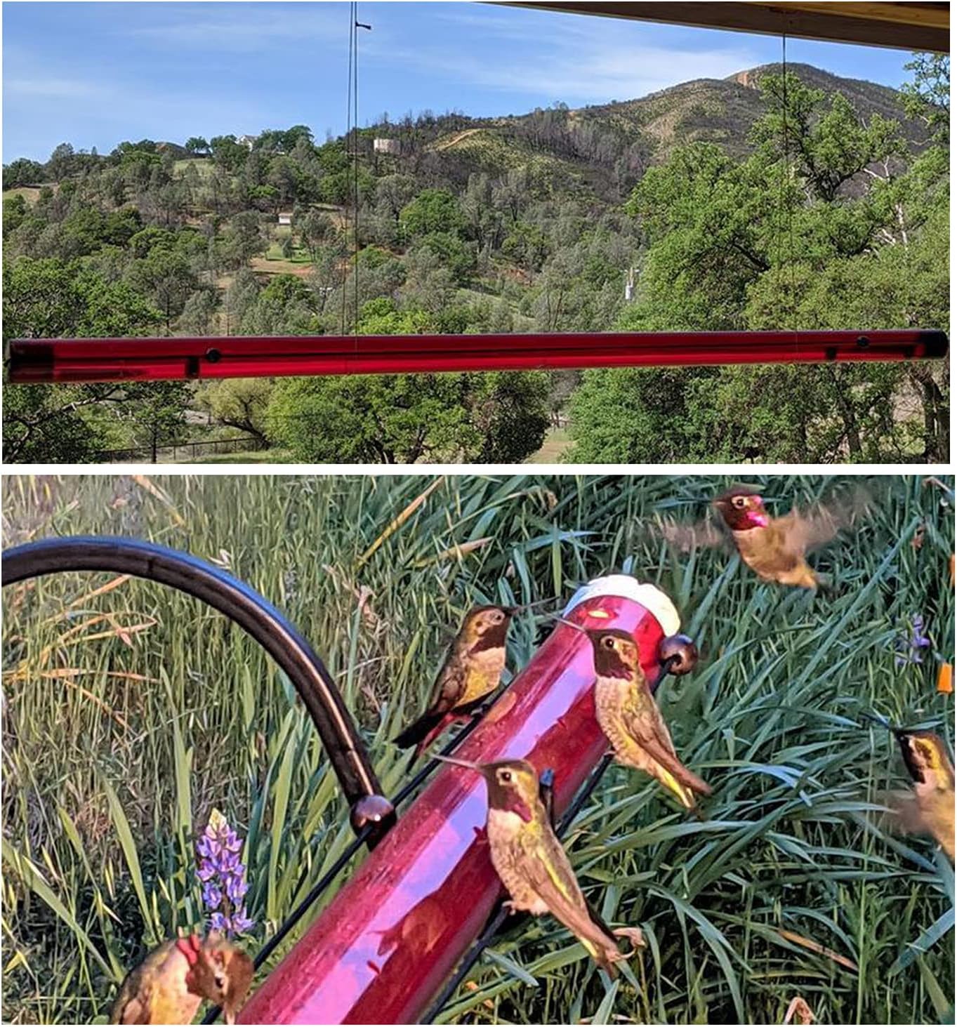 Hummingbird Feeder with Hole Transparent Easy to Use and Bird Feeder R