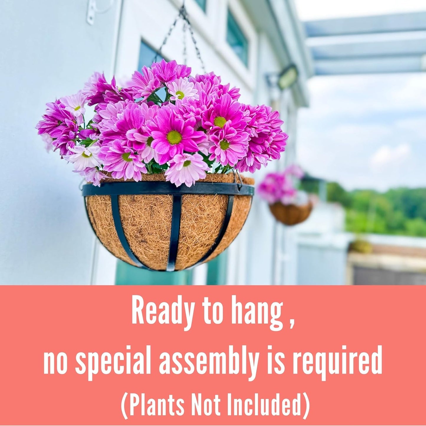 LaLaGreen Outdoor Hanging Baskets for Plants (2 Pack, 12 Inch) Medium Black Hanging Planters with Coco Liner, Metal Flat Iron Flower Pots for Deck Patio Porch Modern Garden Balcony Outside Decoration