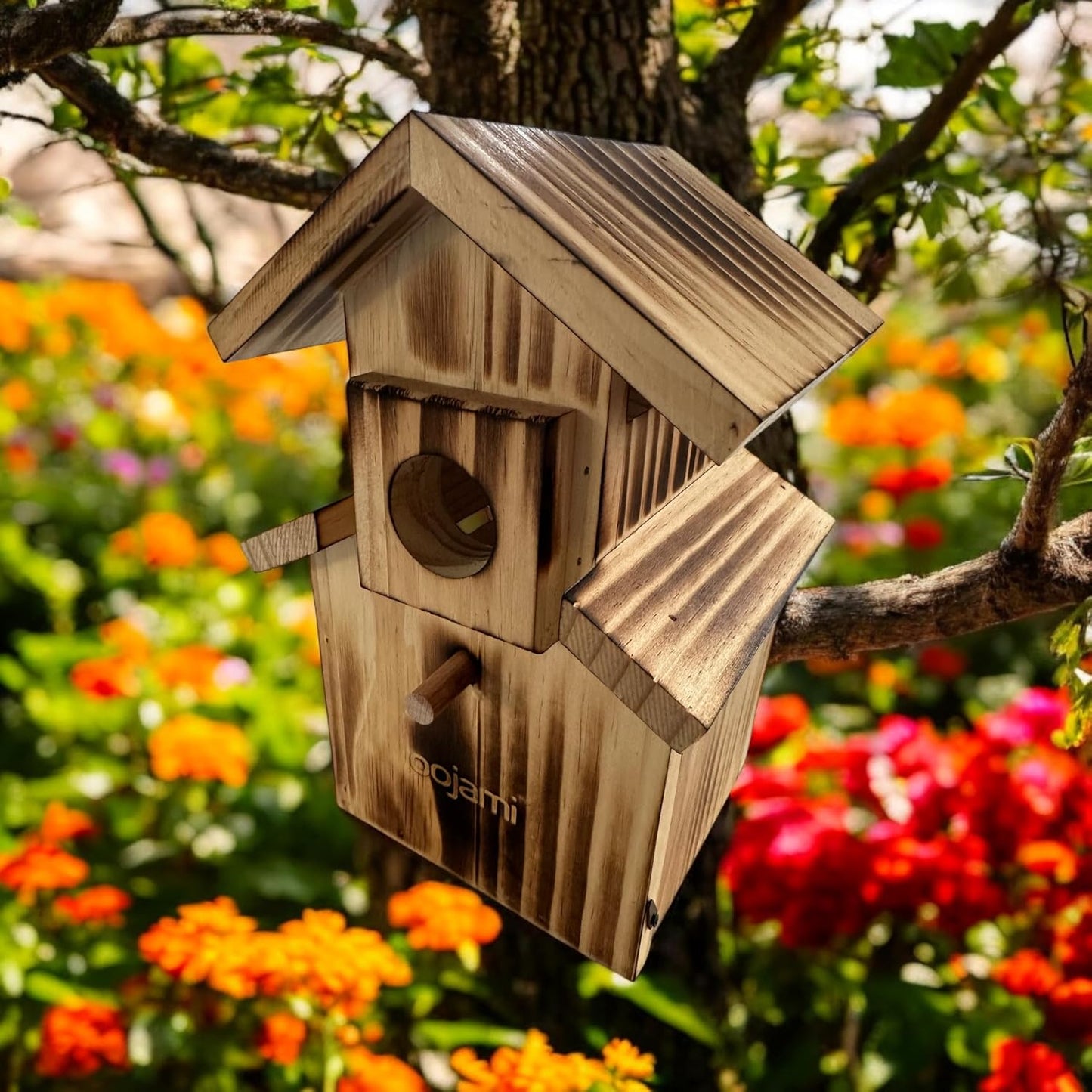 Bird House for Bluebird, Finch, Wren, Chickadee, Tree Swallow, Wild Bi