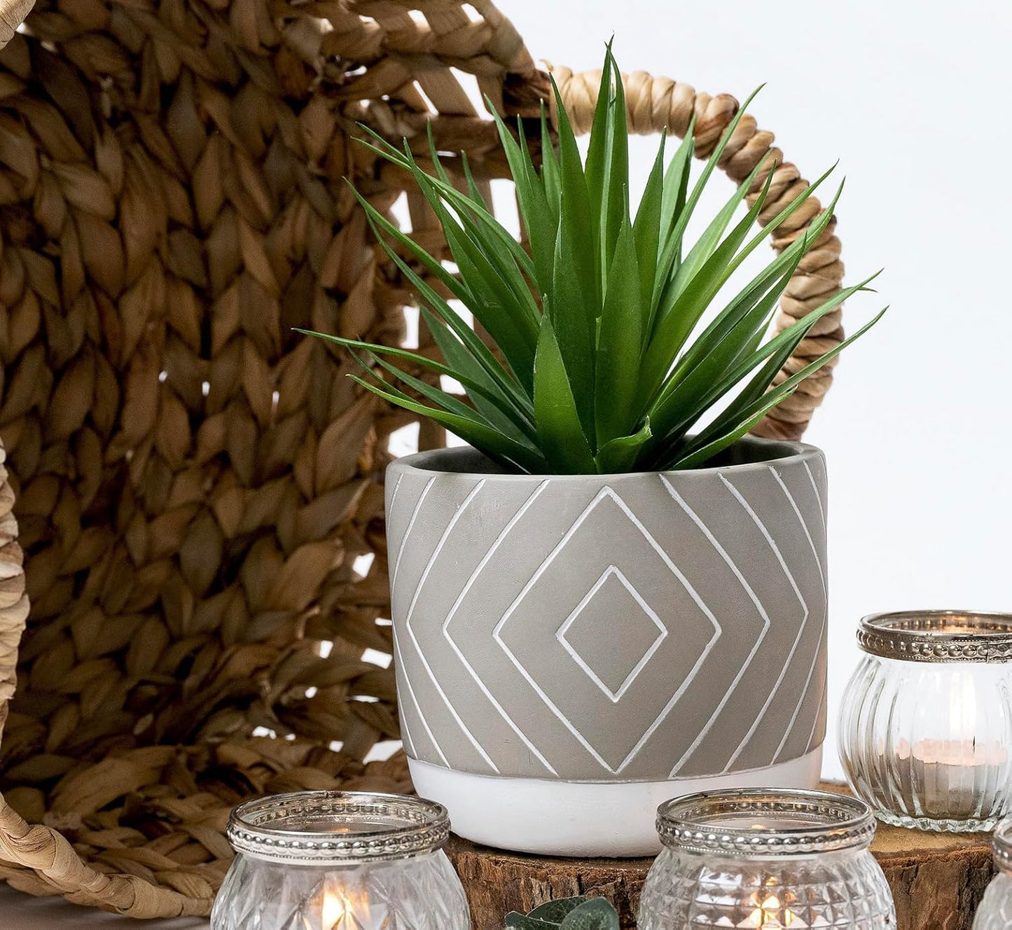 Kurrajong Farmhouse Desk Plant | 8" Small Artificial Plants in Pots | Handmade Cement Pot with Small Fake Plant | Decorative Plants for Office, Bathroom, Shelf Decor | Faux Plant Indoor