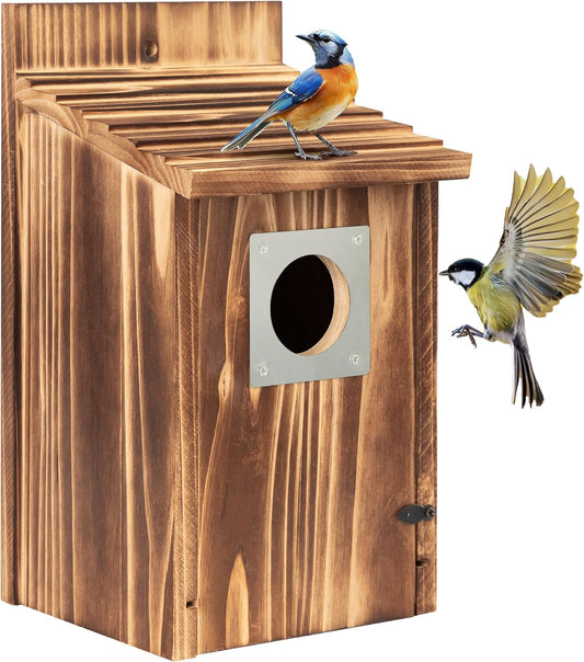 Bird Houses for Outside with Metal Predator Guard for Bluebird Wren Swallow Finch, Carbonized Wooden Nesting Boxes for Outdoor, Sturdy Bird House,Easy to Clean