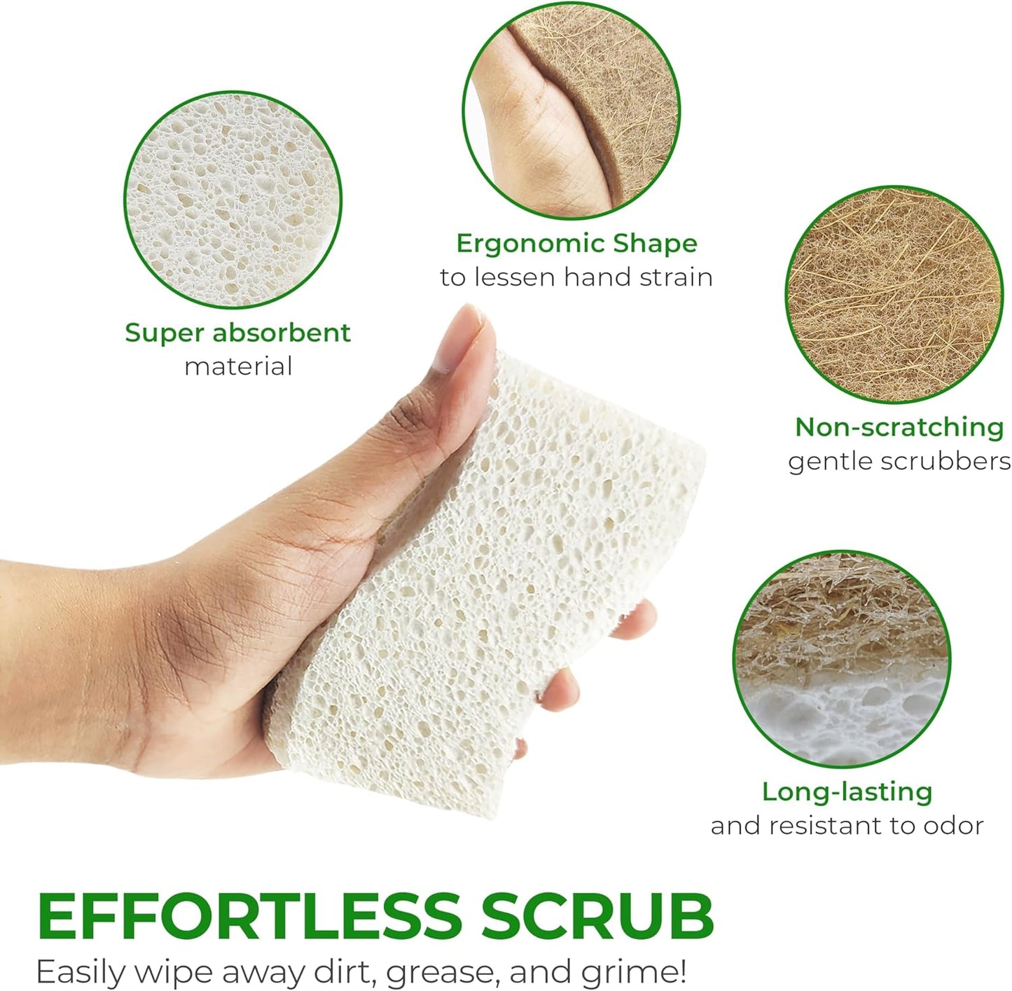 Biodegradable Natural Kitchen Sponge - Compostable Cellulose and Cocon